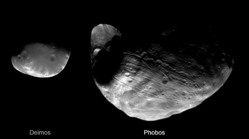 Phobos et Deimos à l'échelle. © Nasa, Viking Orbiter