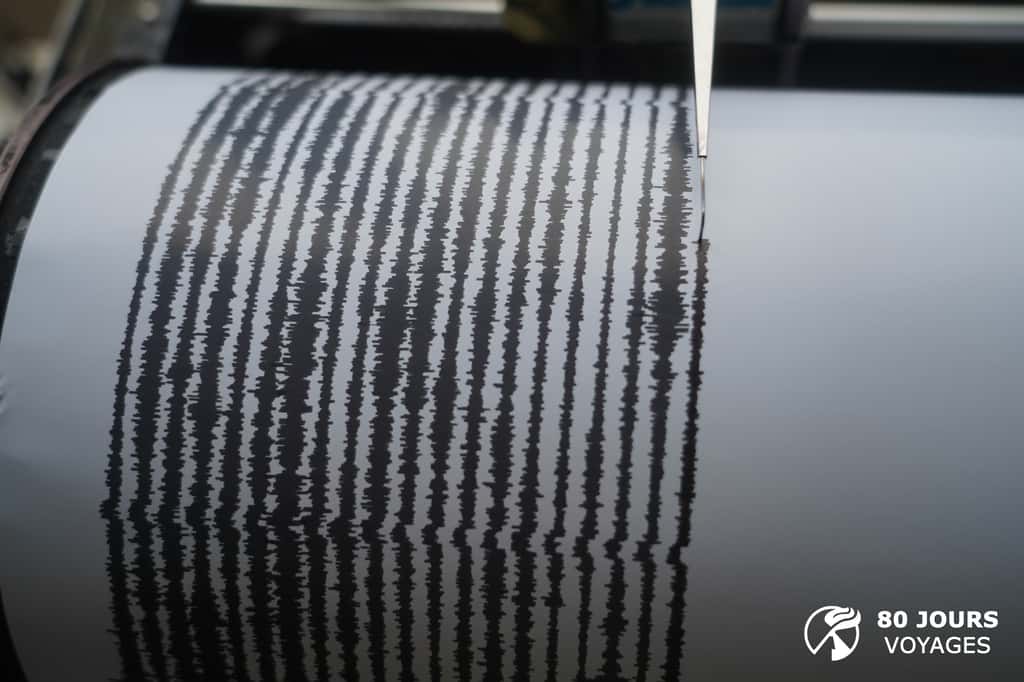 Trace sismique du Karangetang, témoignant des avalanches de blocs, nombreuses et d’intensité variables, en ce moment… © Sylvain Chermette, 80 Jours Voyages