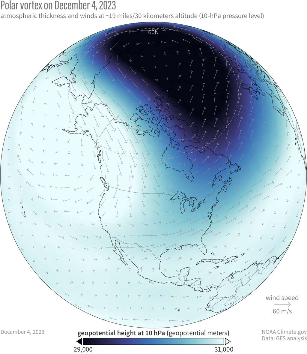 En noir, le vortex polaire à sa position normale en décembre 2023 avec des vents d'ouest en est à l'intérieur. © NOAA
