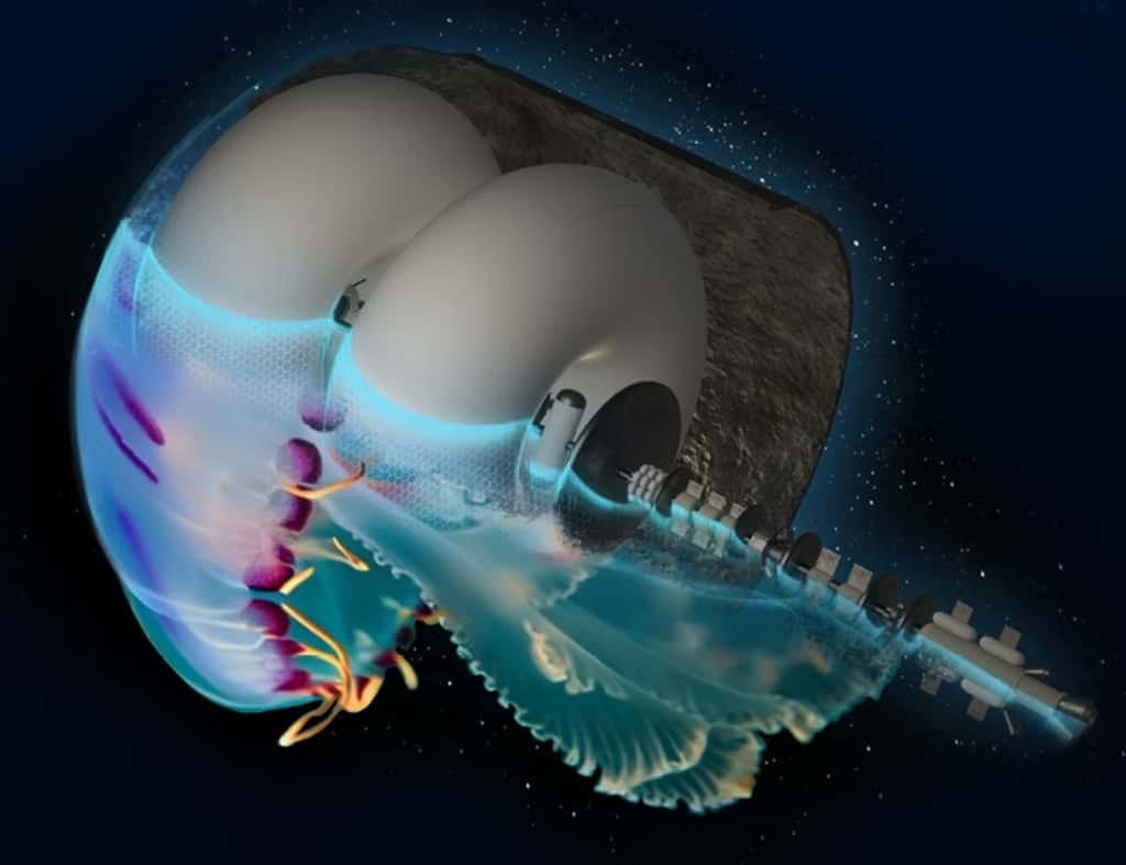 Le vaisseau-méduse de SSP. © Systema Stellare Proximum