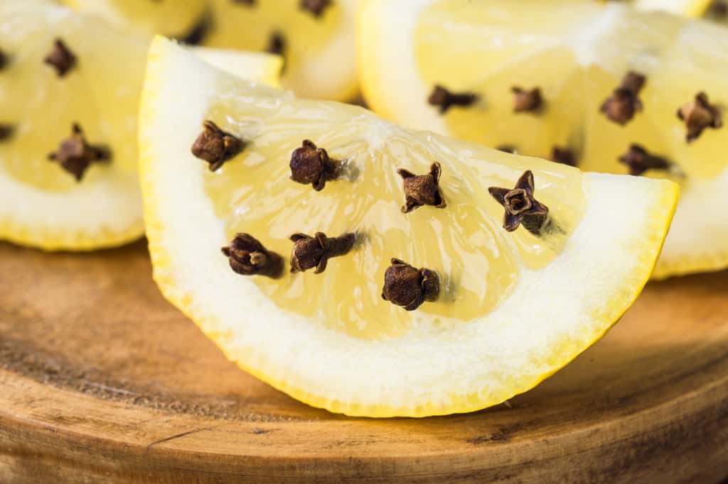 Un citron piqué de clous de girofles est une solution qui peut éloigner les mouches de votre intérieur ! © Jultud, Adobe Stock