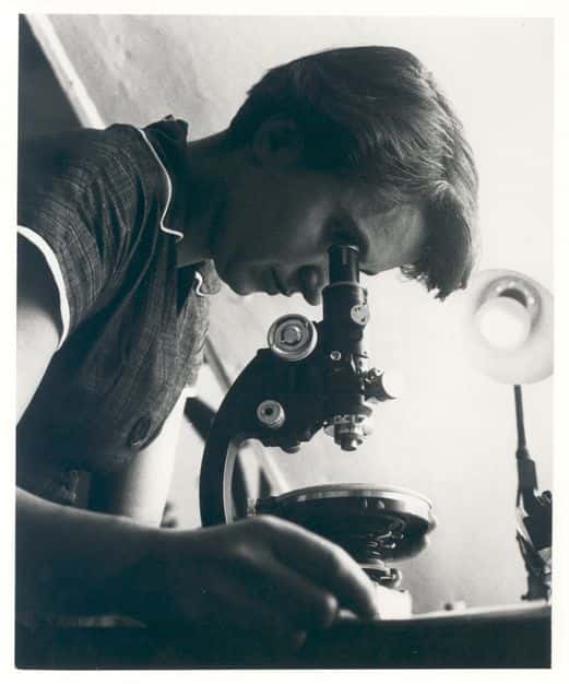 La physicochimiste à présent célèbre Rosalind Franklin, dont les travaux et ceux de son élève Raymond Gosling ont largement contribué à la découverte de la structure à double hélice de l'ADN. Elle est ici photographiée utilisant un microscope en 1955. © <em>MRC Laboratory of Molecular Biology</em>, Wikimedia Commons 
