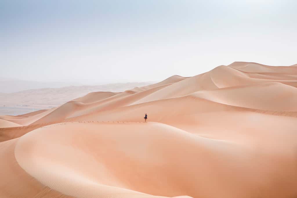 Les dunes majestueuses et à perte de vue du désert Rub' al Khali. © katiekk2, Adobe Stock