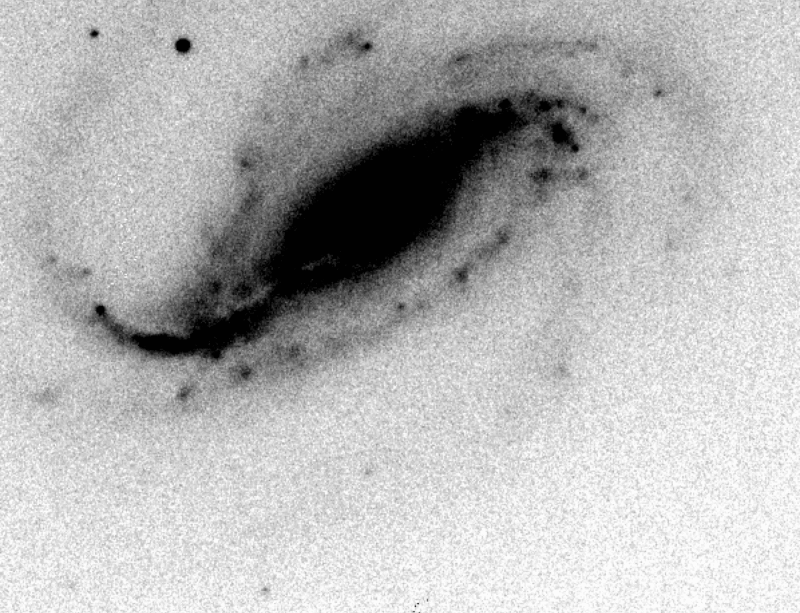 C’est à l’extrémité de l’un des bras spiraux de la galaxie NGC 613 qu’une étoile a tout à coup explosé le 20 septembre 2016. On remarque ici une tache noire vers le bas de l'image. La luminosité a été multipliée par trois en une demi-heure. Victor Buso a observé par hasard la naissance d’une supernova à 85 millions d’années-lumière de la Terre. © Víctor Buso, Gastón Folatelli