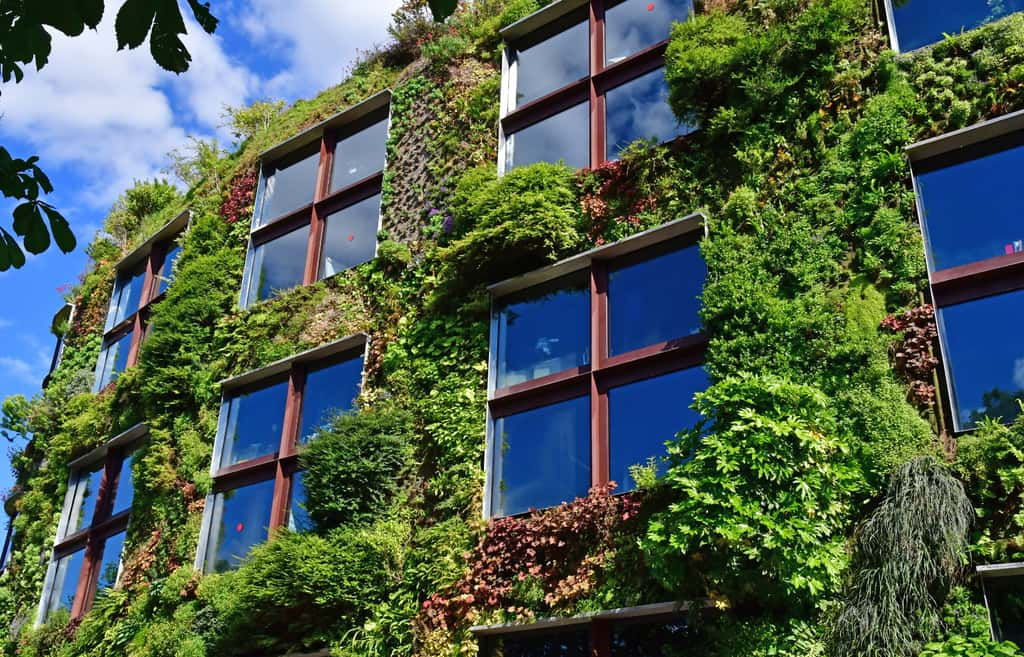 La façade végétale du musée du Quai Branly et sa végétation luxuriante. © PackShot, Adobe Stock