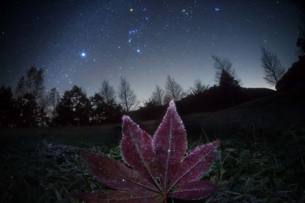 Au centre : Orion (et la rougeoyante Bételgeuse), à sa droite, le Taureau et sous les pieds du Chasseur, le Grand Chien et l’étincelante Sirius. © Masahiro Miyasaka