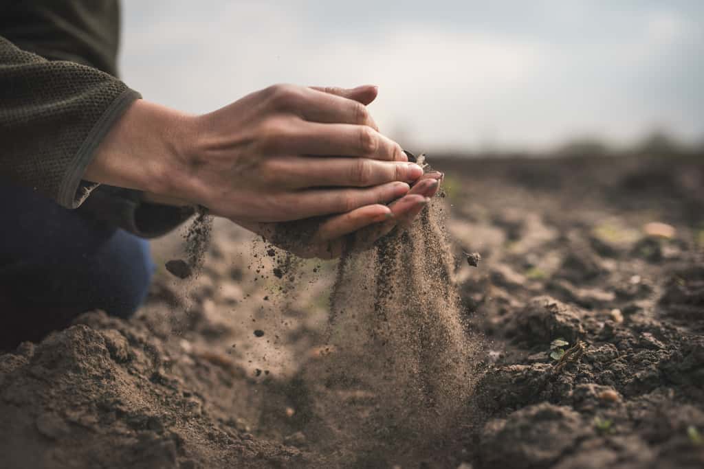 Adopter de bonnes pratiques agricoles pour maintenir le sol en bonne santé est essentiel pour l'environnement. © tibor13, Adobe Stock