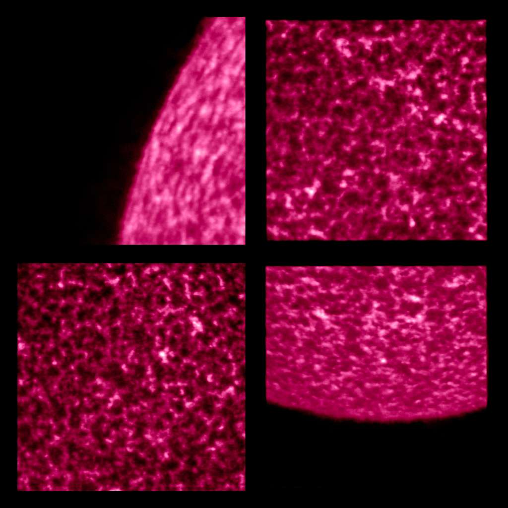 Le Soleil est ici vu en Lyman-alpha. Il s'agit d'une longueur d'onde ultraviolette particulière produite par l'hydrogène. L'image montre la chromosphère, une région de l'atmosphère solaire située sous la couronne. © Solar Orbiter/EUI Team (ESA & Nasa) ; CSL, IAS, MPS, PMOD/WRC, ROB, UCL/MSSL
