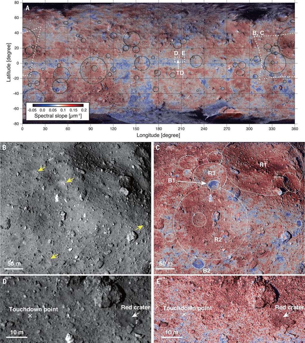 Cartes de Ryugu. L'image A est une carte globale de l'astéroïde superposant image en lumière visible et pente spectrale. La pente spectrale (représentée par le dégradé rouge-bleu) indique les zones légèrement plus rouges ou plus bleues. Les images B et D sont en lumière visible. Les images C et E montrent la pente spectrale des mêmes zones. © Morota et al. 2020