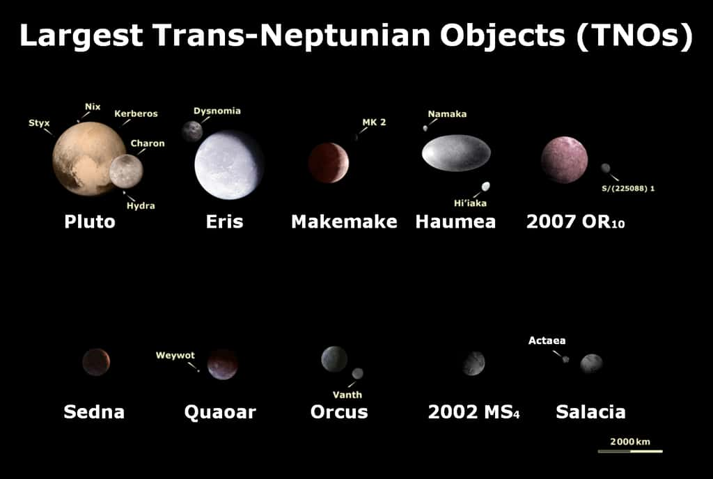 Une comparaison en taille de plusieurs OTN. © Lexicon (Commons 3.0), Exoplanet Expert (Commons 4.0), SpaceDude777