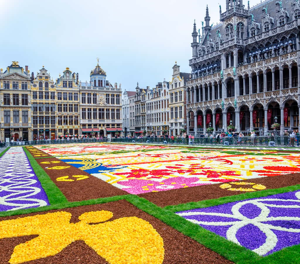 Les tapis de fleurs à Bruxelles, un décor éphémère qui requiert la participation de centaines de volontaires. Ici, celui de l'année 2016, dédié aux 150 ans d'amitié entre le Japon et la Belgique. © jasckal, Fotolia