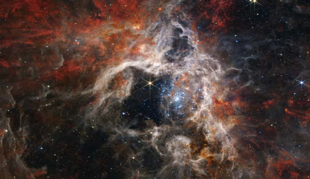 Cette image prise par l'instrument Nircam du JWST couvre environ 340 années-lumière de la grande nébuleuse de la Tarentule. Grâce à la vision pénétrante dans l'infrarouge proche, on peut admirer le nuage érodé et creusé par l'amas d'étoiles au centre. <a href="https://stsci-opo.org/STScI-01GA76Q01D09HFEV174SVMQDMV.png" target="_blank">L'image en haute résolution</a> (140,7 Mo). © Nasa, ESA, CSA, STScI, <em>Webb ERO Production Team</em>