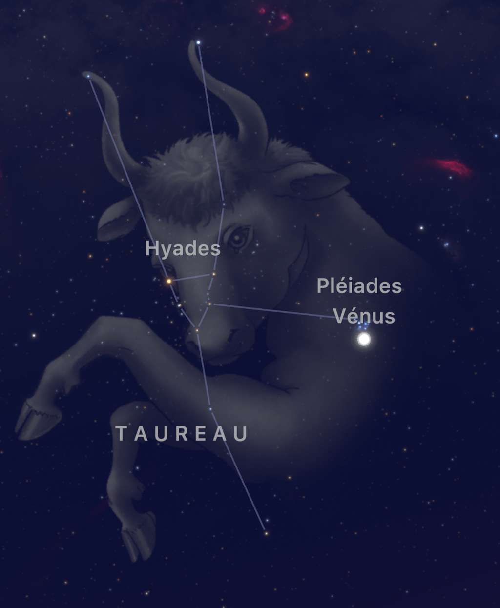 La grappe d'étoiles des Pléiades, qui brille dans le Taureau, reçoit début avril la visite de Vénus. Beau rendez-vous céleste à observer au-dessus de l'horizon ouest. © SkyGuide