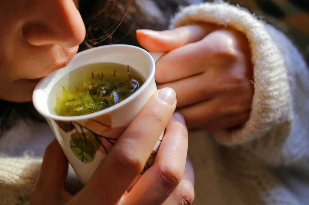 Réguler votre glycémie naturellement en profitant des bienfaits méconnus de la tisane aux feuilles de myrtille. © feyyazalacam, iStock