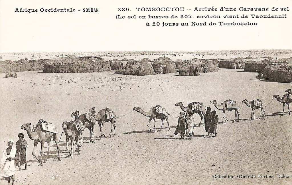 François-Edmond Fortier, Tombouctou. Arrivée d'une caravane de sel. Le sel en barres de 30 k. environ vient de Taoudennit, à 20 jours au nord de Tombouctou. © Wikimédia Commons, domaine public