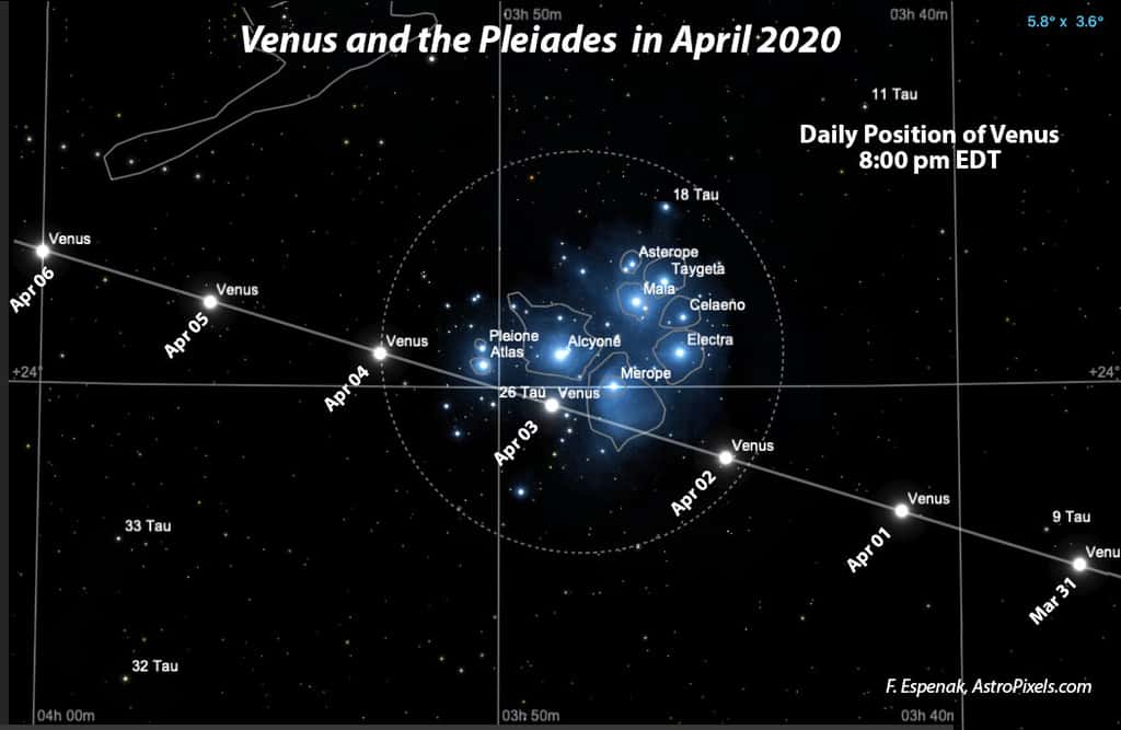 Position de Vénus relativement à l'amas ouvert des Pléiades début avril 2020. © Fred Espenak (<em>Bifrost Astronomical Observatory</em>), APOD (Nasa)