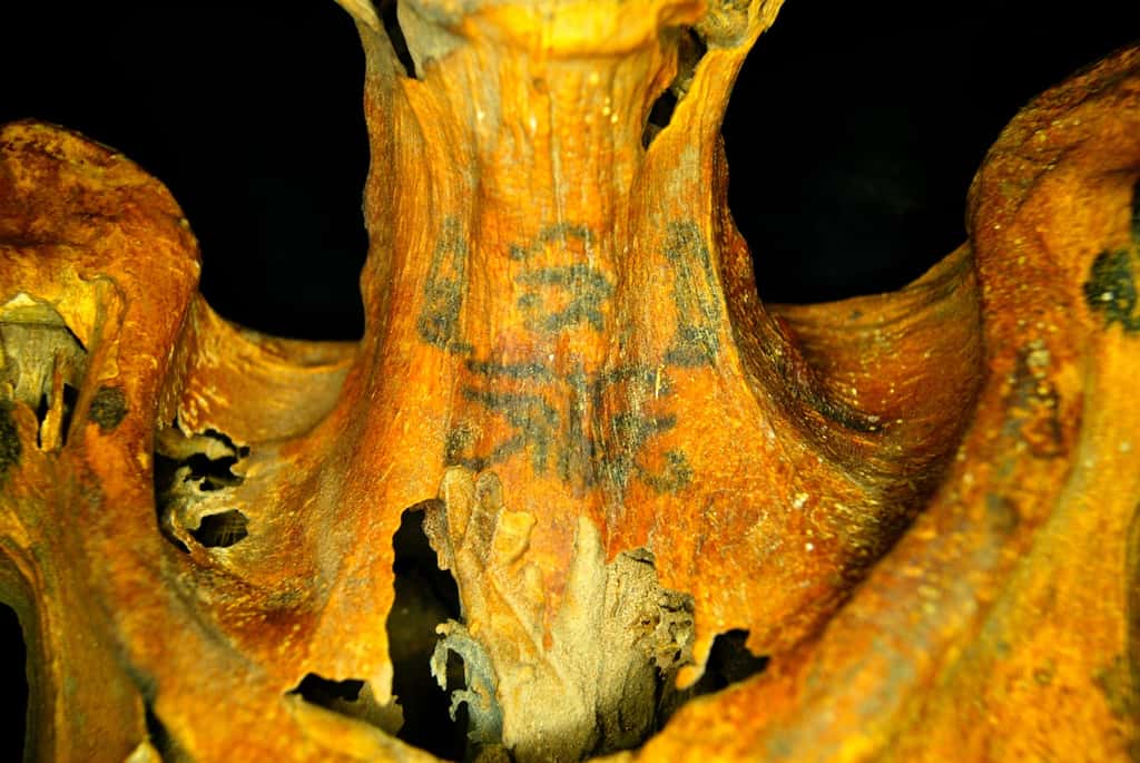 Vingt-trois tatouages ont été examinés sur cette momie découverte en 2014 et à laquelle il manquait les jambes. © Anne Austin