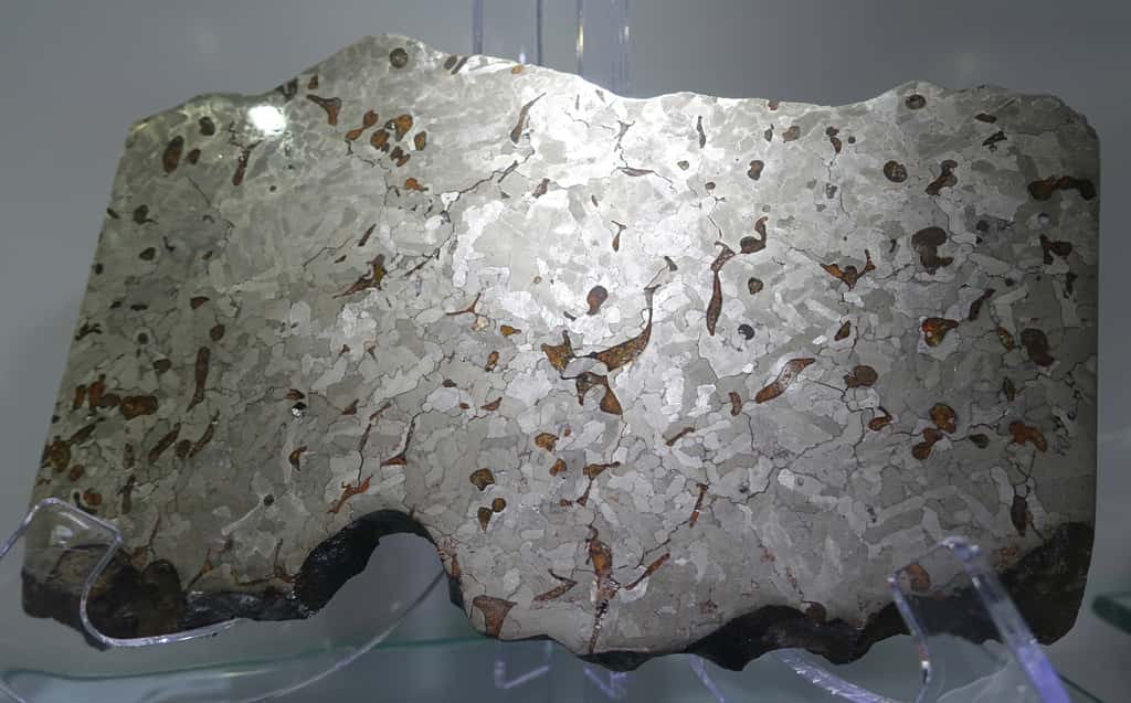 Un échantillon de la météorite de Weekeroo Station, une octaédrique en fer de type IIE. Exposition au <em>Center for Meteorite Studies</em>, <em>Arizona State University</em>, Tempe, Arizona, USA. © Daderot, DP
