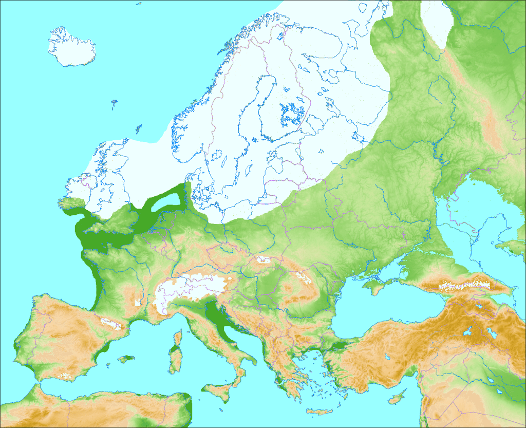L'Europe, durant la dernière glaciation, connait deux principales masses glaciaires, l'une au nord, et l'autre sur la région alpine, où elle est dénommée « glaciation de Würm ». Cette dernière participe à l'isolement de la péninsule italienne. Cette carte présente le relief, le niveau de la mer et la localisation des glaciers en Europe entre -70 000 et -20 000. © Ulamm, <em>Wikimedia Commons</em>