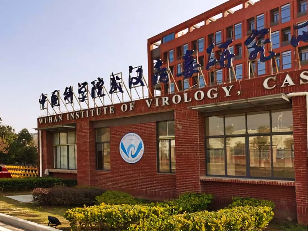 L'Institut de Virologie de Wuhan dans la province du Hubei en Chine. © CC-by-sa 4.0