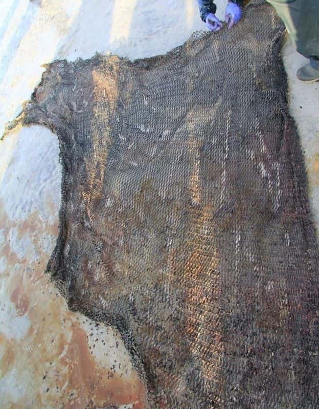Parmi les déchets retrouvés dans le corps du cachalot, ce morceau de filet de pêche. © Smass