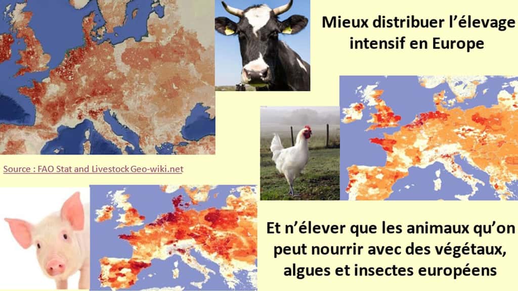 En Europe, ce sont souvent dans les mêmes régions qu’on observe la plus grande densité de bovins, de porcs et de poulets, comme en Bretagne, en Irlande, en Hollande, au Danemark, en Pologne, en Lombardie, etc. <a href="http://livestock.geo-wiki.org/Security/login?BackURL=%2FApplication%2Findex.php" target="_blank">Source : FAO </a><a href="http://livestock.geo-wiki.org/Security/login?BackURL=%2FApplication%2Findex.php" target="_blank">Stat and </a><a href="http://livestock.geo-wiki.org/Security/login?BackURL=%2FApplication%2Findex.php" target="_blank">Livestock</a><a href="http://livestock.geo-wiki.org/Security/login?BackURL=%2FApplication%2Findex.php" target="_blank"> Geo-wiki.net</a>
