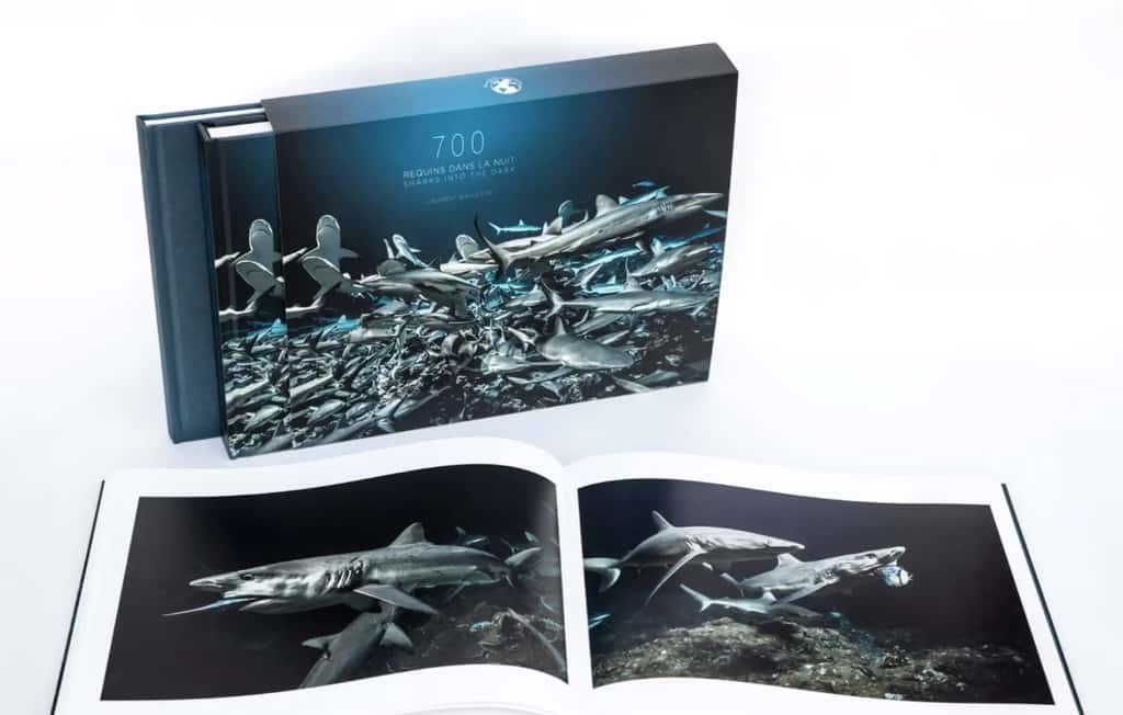 Dans quelques semaines, Laurent Ballesta nous offrira la possibilité de remporter son magnifique livre <em>« 700 requins dans la nuit »</em>. © Andromède Océanologie
