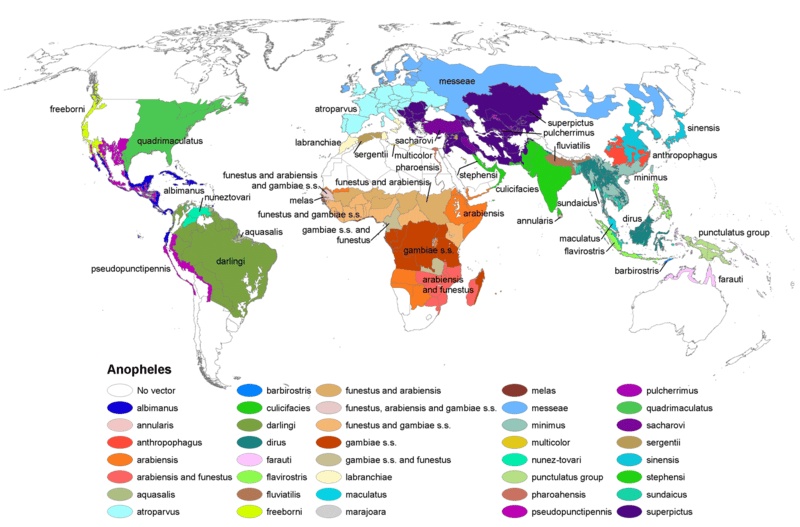 Carte de distribution des espèces d'anophèles dans le monde en 2008. © CDC, <em>Wikimedia Commons</em>, domaine public