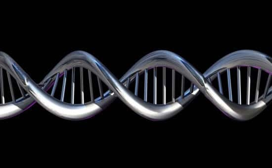 L'ADN est une longue molécule dans laquelle les bases azotées s'enchaînent et composent le code génétique, dont une partie est traduite en protéine selon des règles précises. © Spooky Pooka, Wellcome Images, cc by nc nd 2.0