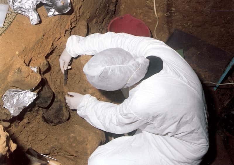 Un prélèvement d'échantillon de sol sur un site archéologique espagnol. © <em>El Sidrón research team</em> 