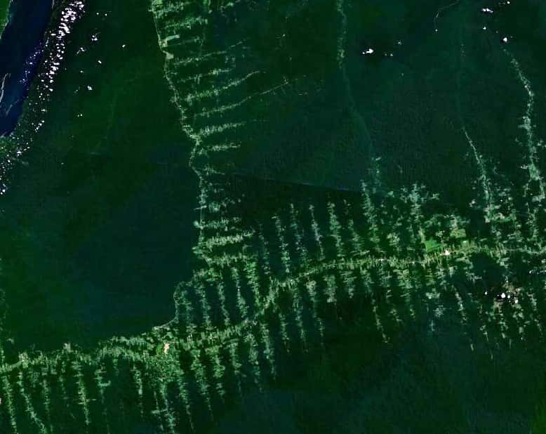 La déforestation, visible sur cette vue aérienne, est l'une des causes de la chute des populations d'orangs-outangs. On estime à moins de 50.000 le nombre d'individus qui survivent à l'état sauvage. © Nasa, Wikimedia Commons, domaine public 