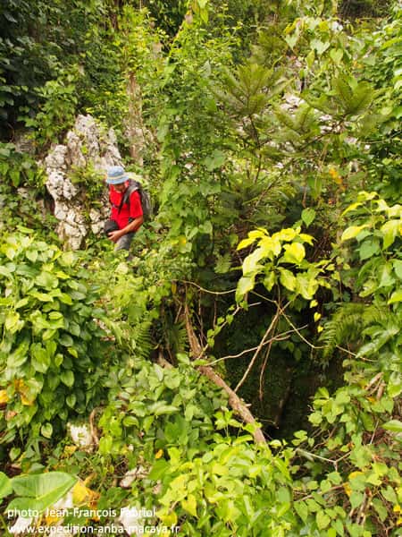 Les entrées des gouffres se cachent dans la jungle. Celui-là était inconnu. © Jean-François Fabriol