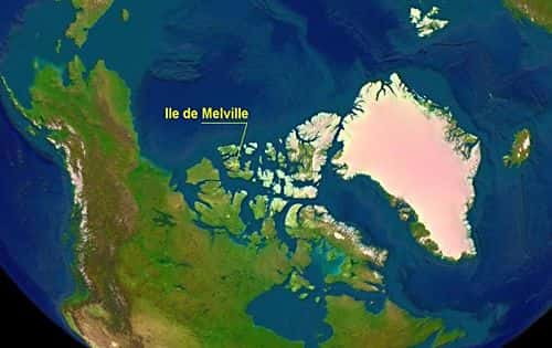 Ile de Melville (photo satellite). Crédit Nasa
