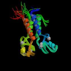 Protéine exprimée par le gène BRCA1 - Crédits : Protein Data Bank http://www.rcsb.org/pdb/