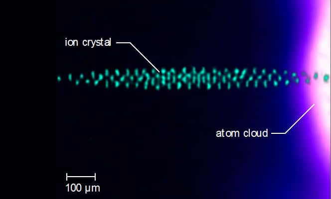 Cette illustration montre l’échantillon microscopique d’ions de baryum (<em>ion crystal</em>, en anglais sur l'image) que les physiciens de la UCLA ont immergés dans un nuage d’atomes de calcium (<em>atom cloud</em>) à une température à peine au-dessus du zéro absolu. © Alex Dunning, UCLA