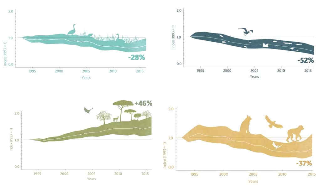 Évolution des espèces d’eau douce (bleu), des espèces marines (bleu marine), des espèces terrestres (vert) et des espèces endémiques (jaune) entre 1993 et 2016. © La Tour du Valat