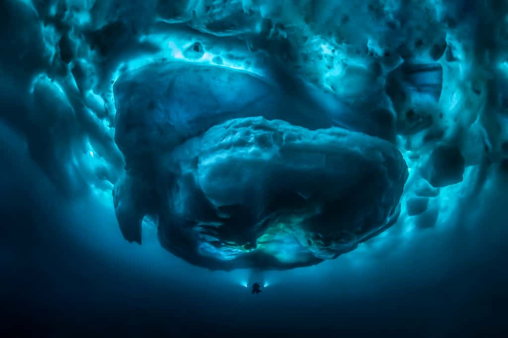 « Sous le zéro », gagnant 2020 du concours de la plus belle photo sous-marine dans la catégorie Grand angle. © Tobias Friedrich, UPY 2020