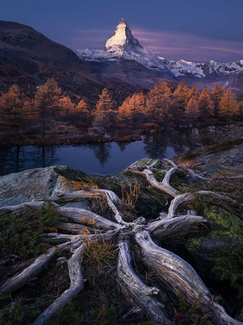 Racines de l’éternité ; le Matterhorn, vu de Grindjisee ; Zermatt, Valais, Suisse