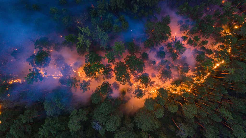 Près de 11 millions d’hectares de forêt ont brûlé en Russie depuis le début de 2020. © Greenpeace