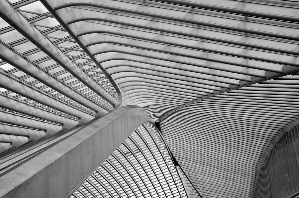 Plafond de la gare de Liège-Guillemins (Belgique), par Santiago Calatrava. © Suraj Garg