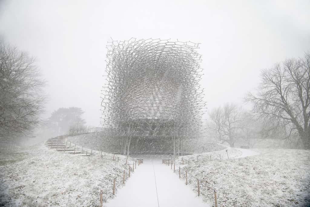The Hive, Jardin botanique royal de Kew (Royaume-Uni) par Wolfgang Buttress. © Omer Kanipak