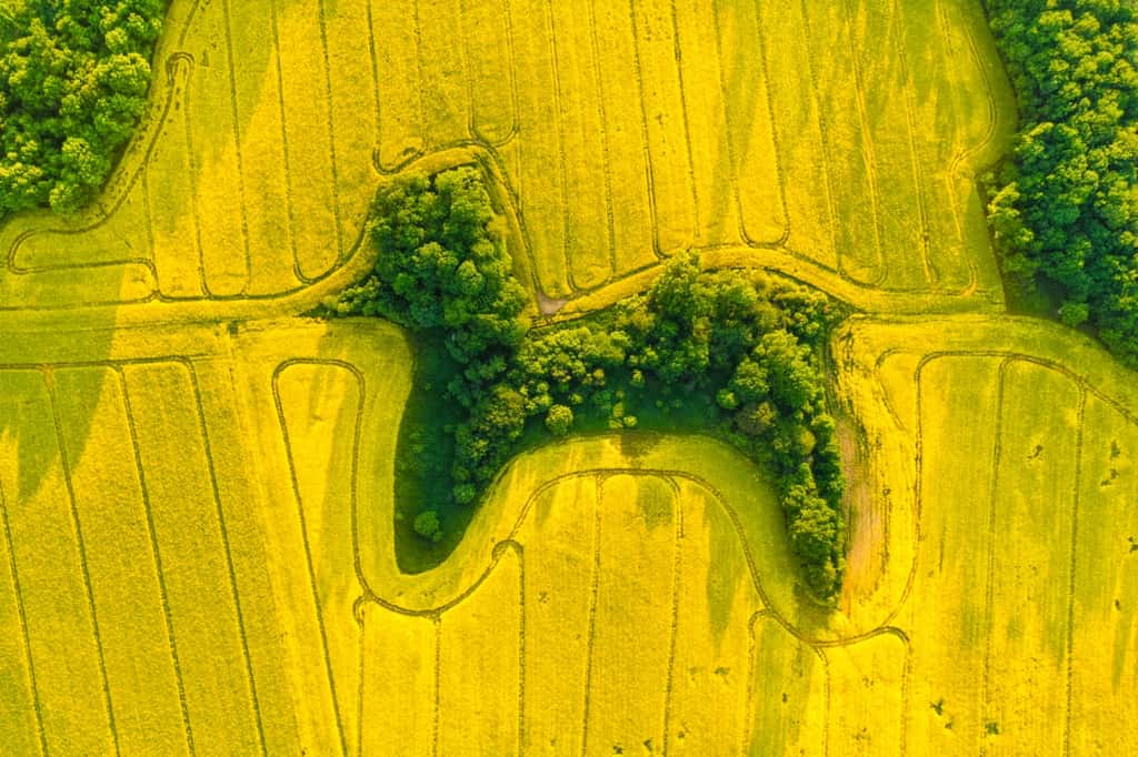 Pays : Pologne - Photographe : Jan Ulicki. © <em>Drone Photo Awards 2021</em>