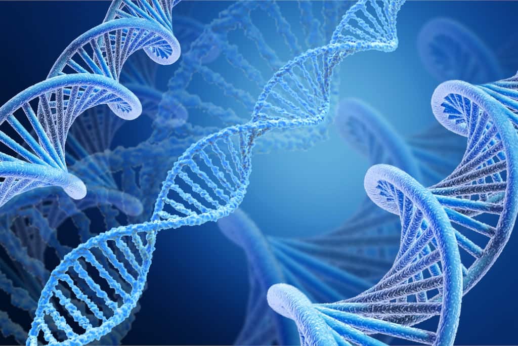 Les scientifiques ont utilisé la méthode CRISPR/Cas9 pour créer des lésions sur de l'ADN double-brin.&nbsp;© BillionPhotos.com, Adobe Stock