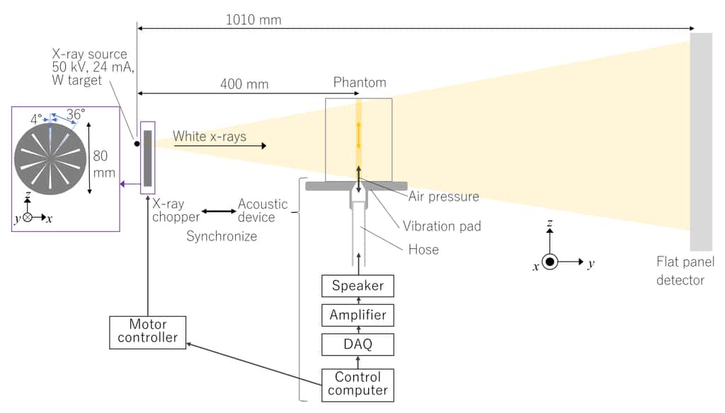 Schéma de fonctionnement de l’élastographie à rayons X. L’objet (phantom) est mis en vibration avec une onde acoustique, puis un rayonnement mesure la vitesse de déplacement des particules en vibration, enregistrée sous forme d’image 2D par un détecteur. © Chika Kamezawa et al., Appl. Phys. Express, 2020
