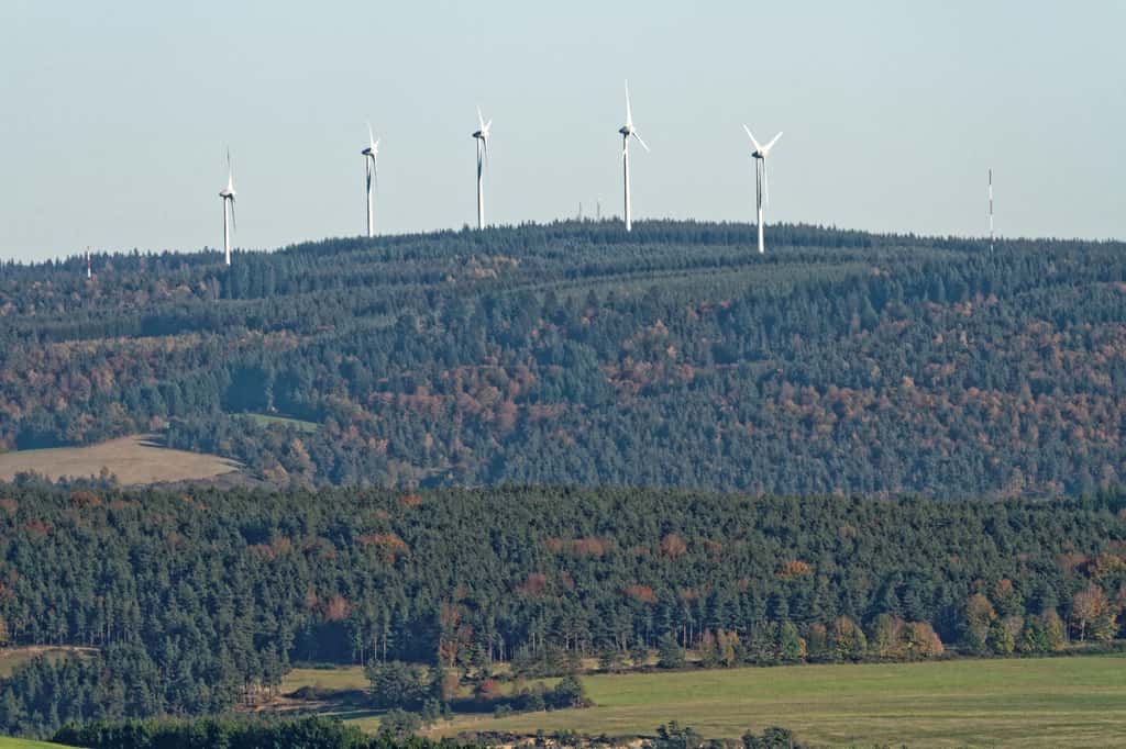 Les 8.000 éoliennes françaises sont quasiment à l’arrêt depuis lundi. © Loic Pinseel, Flickr