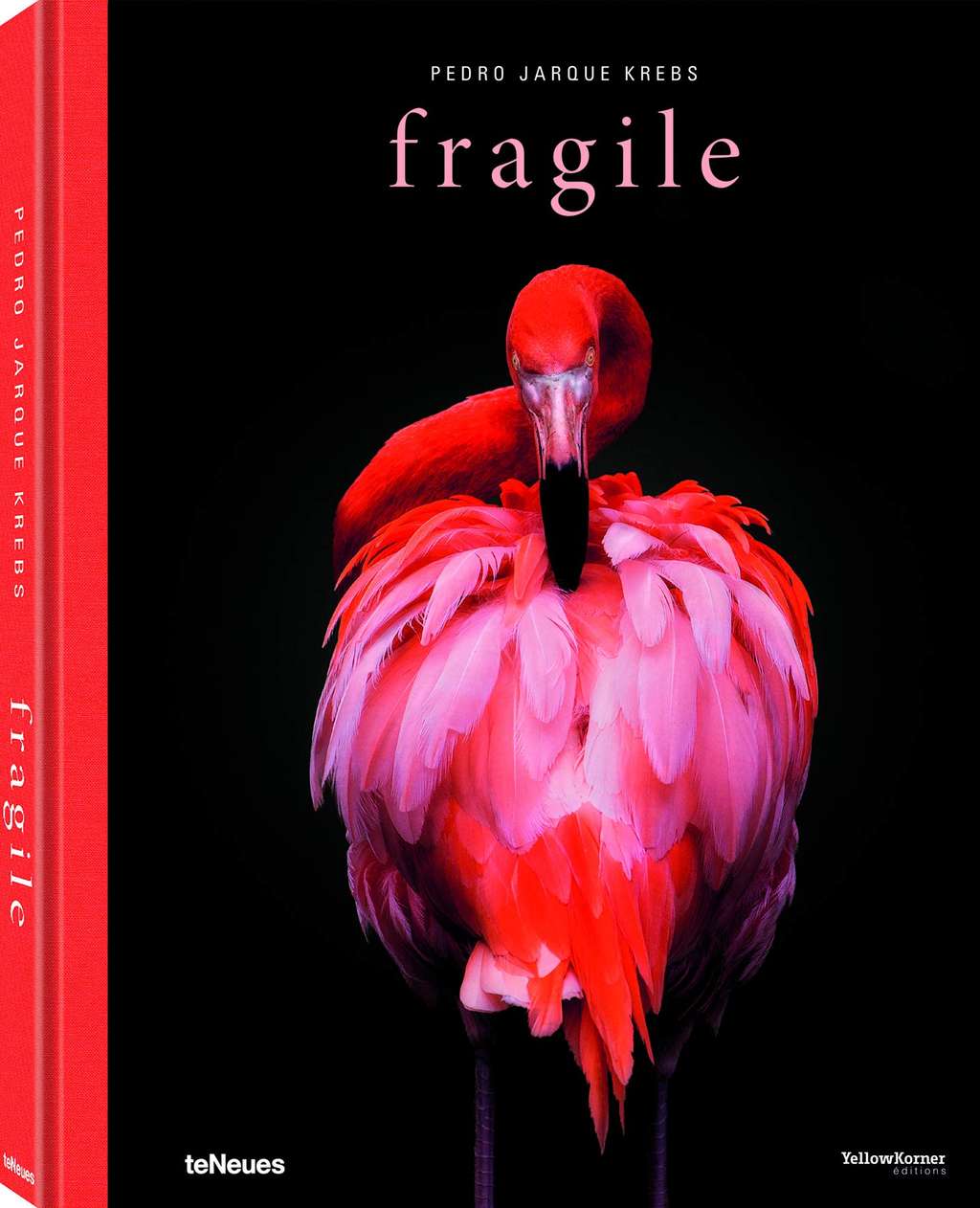 Fragile. © teNeues