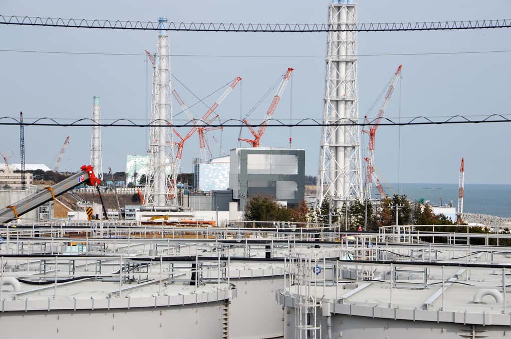 1,2 million de mètre cubes d’eau contaminée sont stockés dans des réservoirs de 1.000 m<sup>3</sup> chacun dans la centrale de Fukushima Daiichi. © Susanna Loof, IAEA