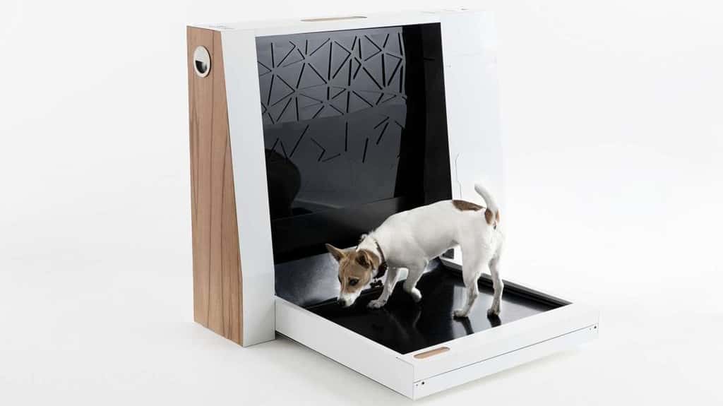 Inubox, les premières toilettes d’intérieur pour chien. © Inubox, Kickstarter