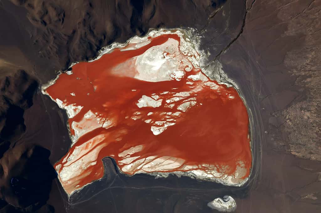 Un lac rouge dans les Andes. « <em>Dans cette zone entre le Pérou, le Chili et la Bolivie, on trouve des myriades de couleurs. Est-ce que vous préférez un lac bordeaux ou bleu néon ? </em>»  Photo prise le 21 août 2021. © Thomas Pesquet, ESA/Nasa