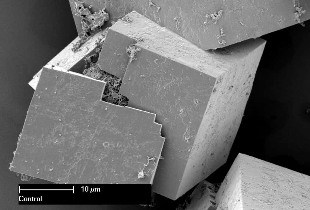 Un MOF, réseau métallo-organique, est un matériau très poreux. © CSIRO